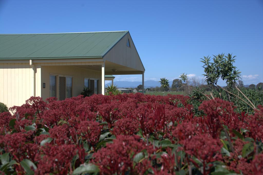 Milawa Muscat Retreat B&B Exterior foto