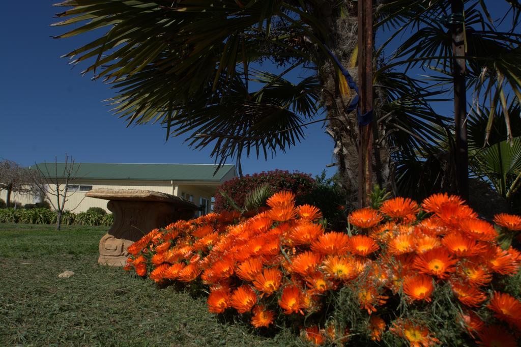Milawa Muscat Retreat B&B Exterior foto